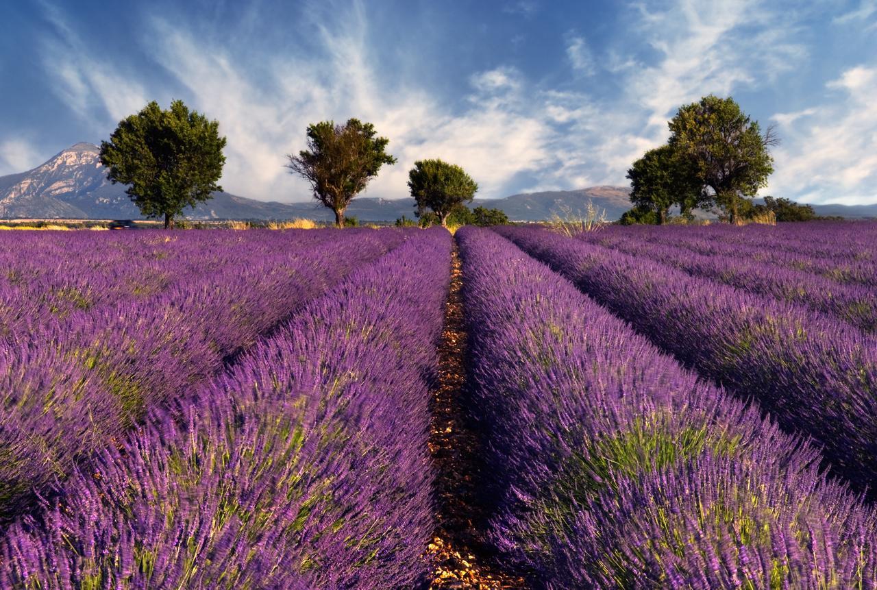 Mas Coeur De Provence Calme Luxe Grand Parc *